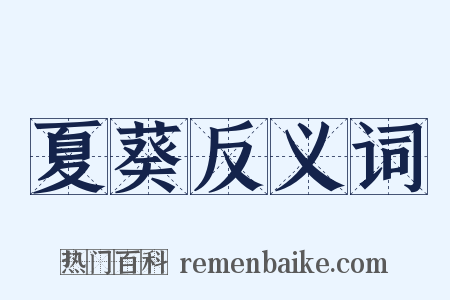 夏葵反义词是什么意思的图片